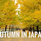 Best Autumn Spots in Japan