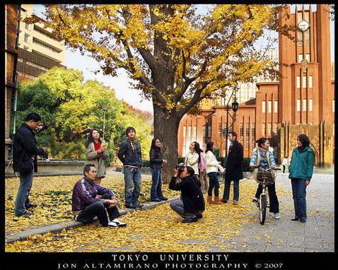 university of tokyo autumn